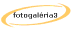 fotogalria3